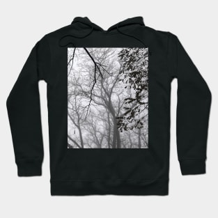 Foggy forest Hoodie